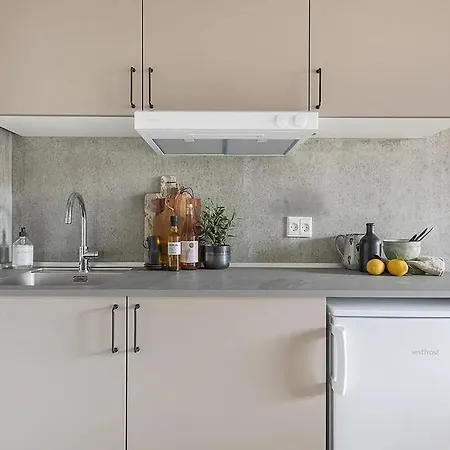 Tastefull And Modern Studio Apartment Copenhagen